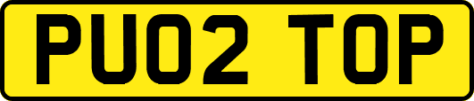 PU02TOP