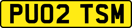 PU02TSM