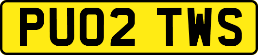 PU02TWS