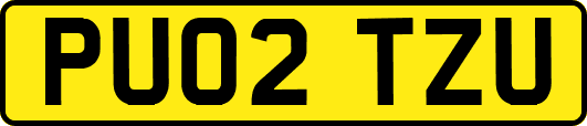 PU02TZU