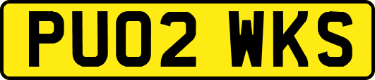 PU02WKS