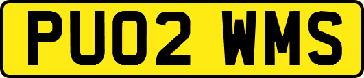 PU02WMS