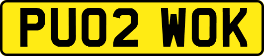 PU02WOK