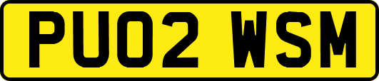 PU02WSM