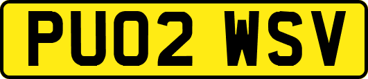 PU02WSV