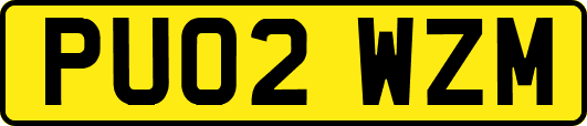 PU02WZM