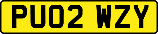 PU02WZY