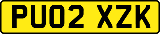 PU02XZK