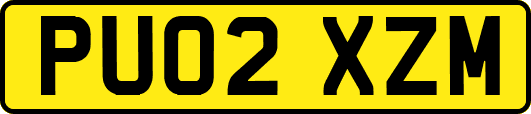 PU02XZM