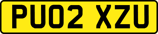 PU02XZU