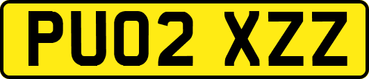 PU02XZZ