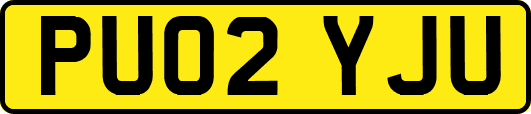 PU02YJU
