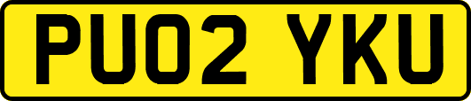 PU02YKU
