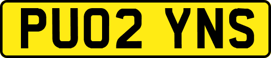 PU02YNS