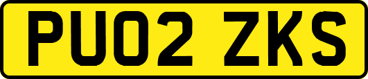 PU02ZKS
