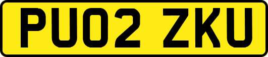 PU02ZKU