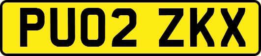 PU02ZKX