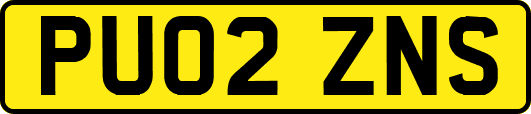 PU02ZNS