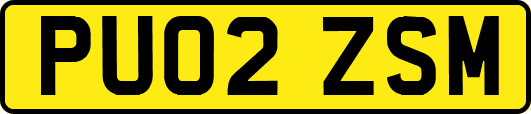 PU02ZSM
