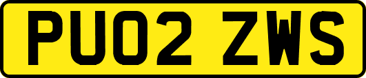 PU02ZWS