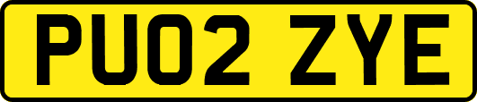 PU02ZYE