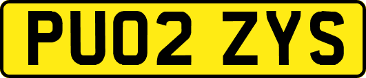PU02ZYS