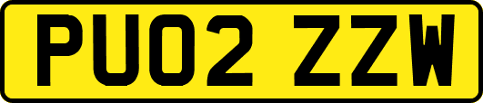 PU02ZZW