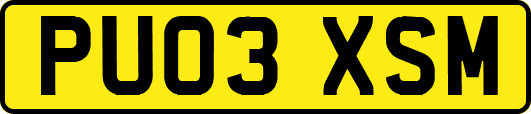 PU03XSM