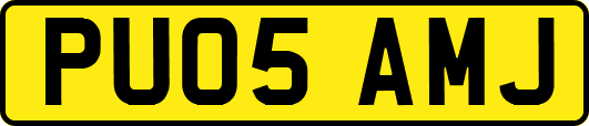 PU05AMJ