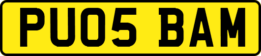 PU05BAM