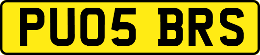 PU05BRS