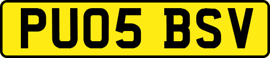 PU05BSV