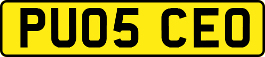 PU05CEO