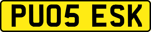 PU05ESK