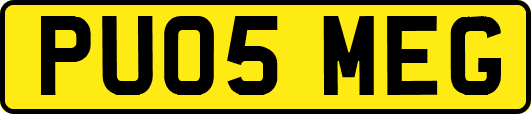 PU05MEG