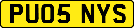 PU05NYS