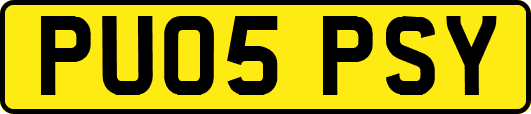 PU05PSY
