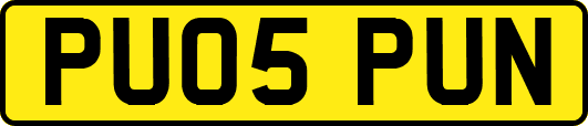 PU05PUN