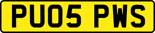 PU05PWS