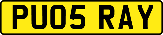 PU05RAY