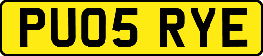 PU05RYE