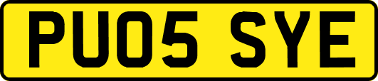 PU05SYE
