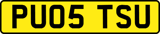 PU05TSU