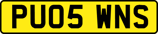PU05WNS