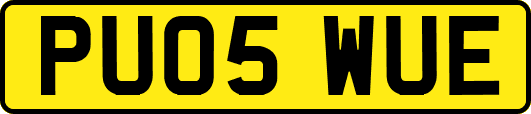 PU05WUE