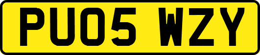 PU05WZY