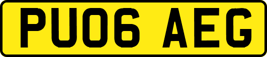 PU06AEG
