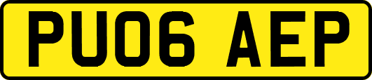 PU06AEP