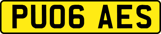 PU06AES
