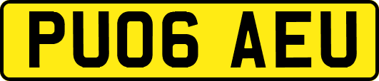 PU06AEU
